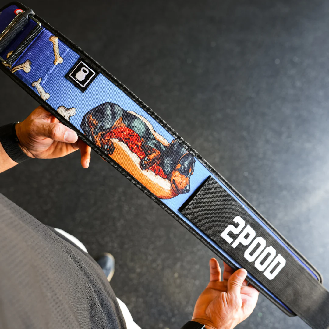 Dachshund 4" Weightlifting Belt - Image 8