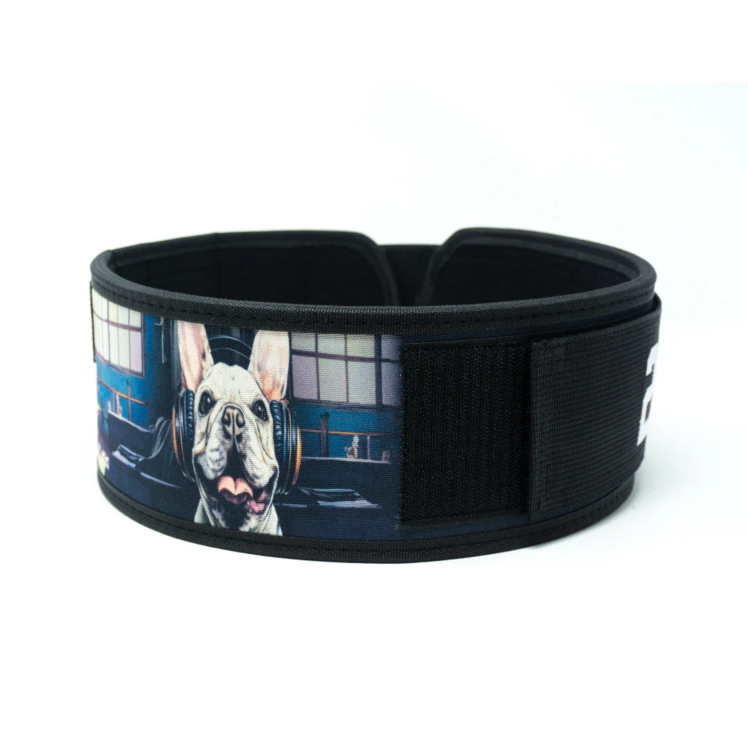 French Bulldog 4" Weightlifting Belt - Image 7