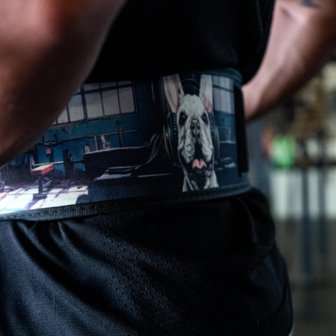 French Bulldog 4" Weightlifting Belt - Image 8