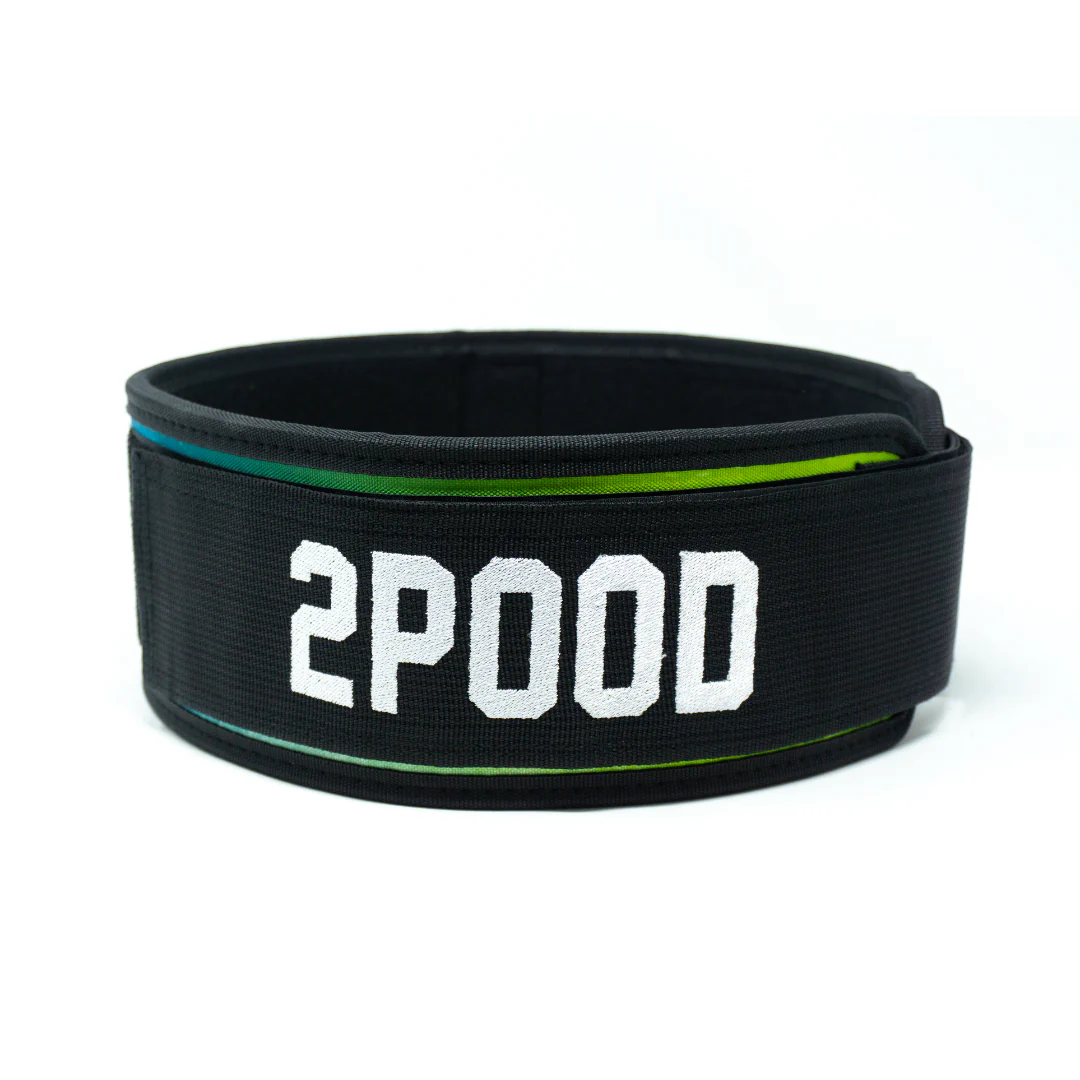 Golden Retriever 4" Weightlifting Belt - Image 6