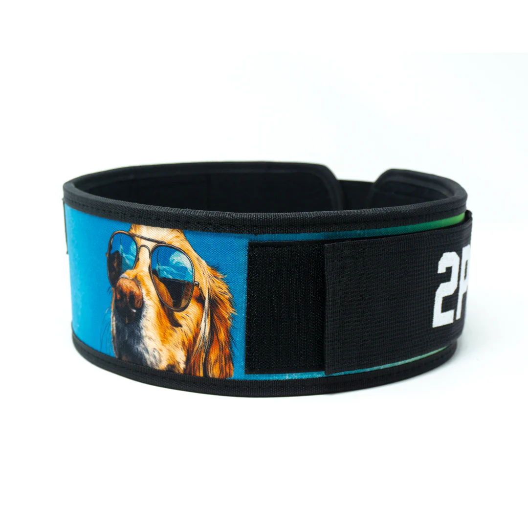 Golden Retriever 4" Weightlifting Belt - Image 7